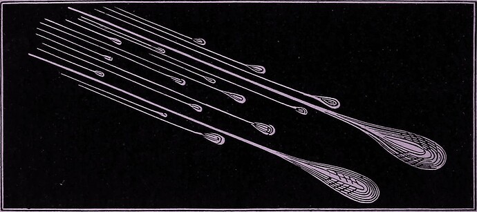 PinkComets