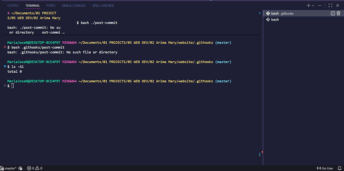 terminal-1-.githooks