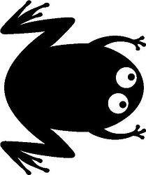 Frog 04