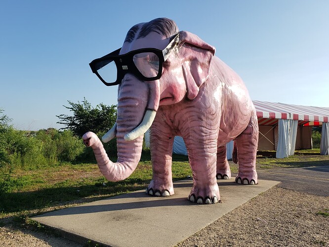 pink-elephant-wi-133919-1600