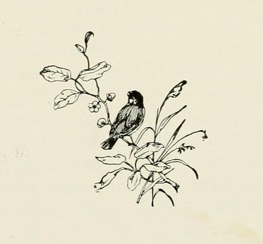 birdloreas12nati_0220
