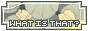whatisthatbutton